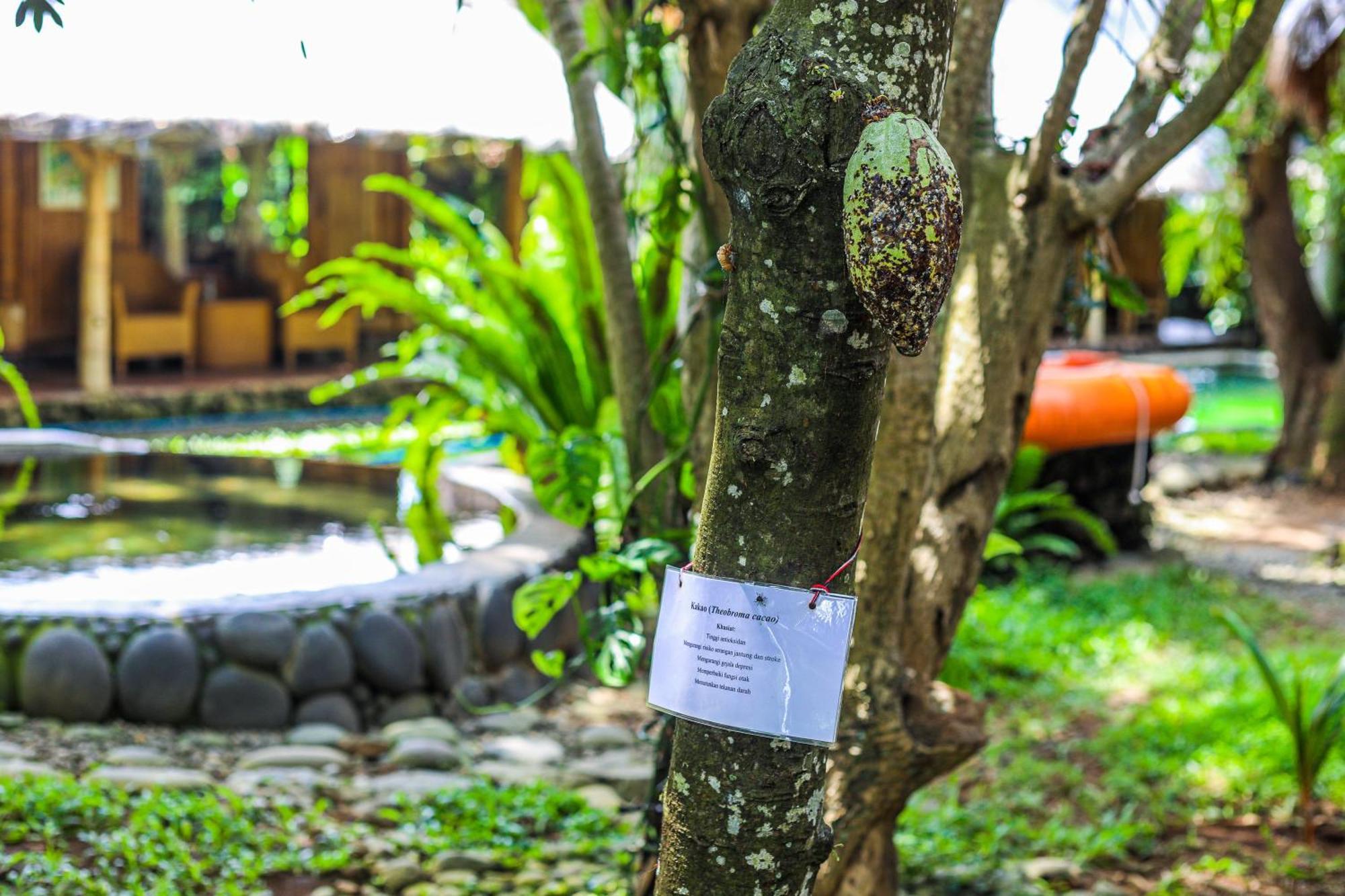 Отель Omunity Bali Сингараджа Экстерьер фото
