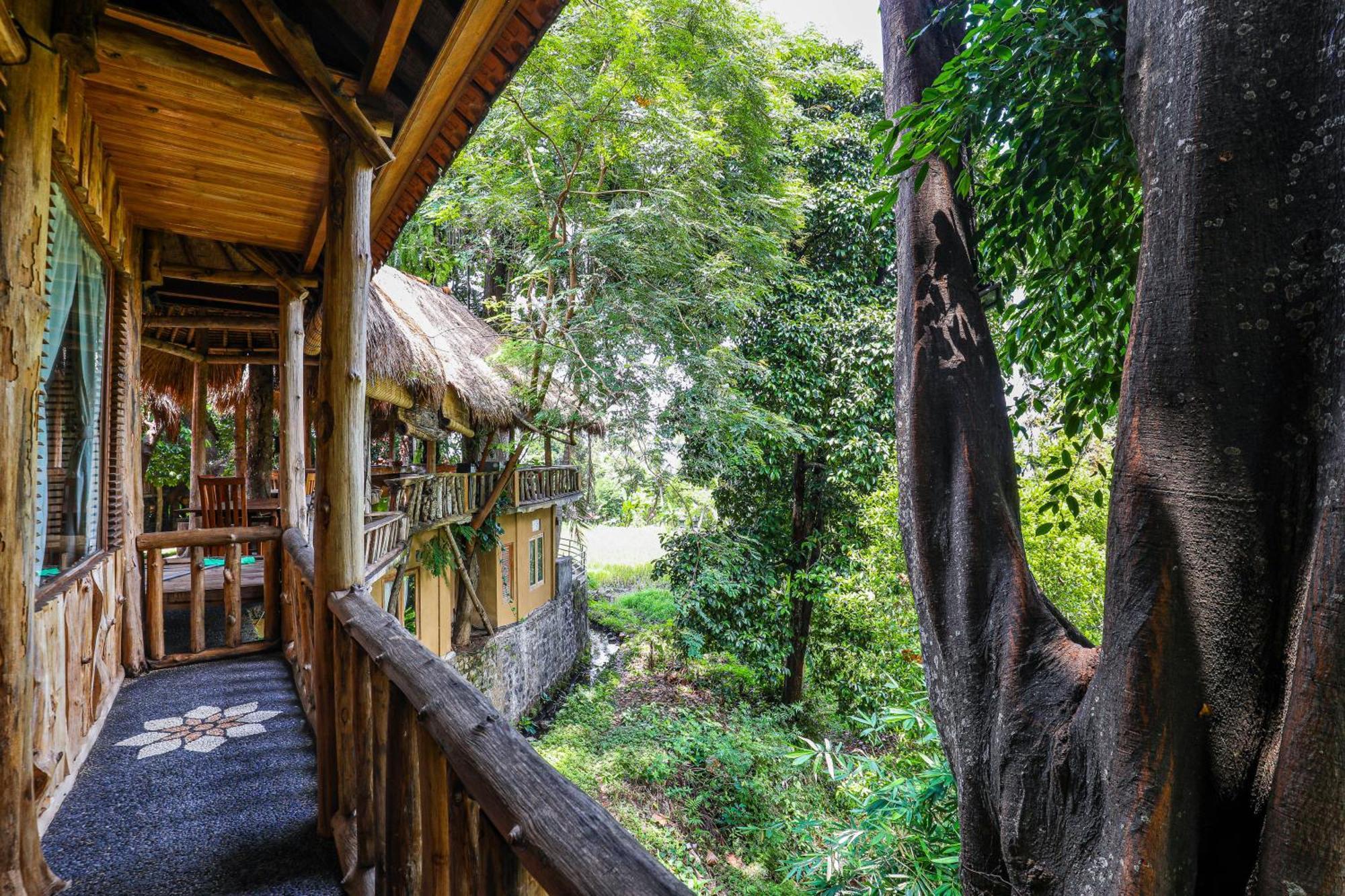 Отель Omunity Bali Сингараджа Экстерьер фото