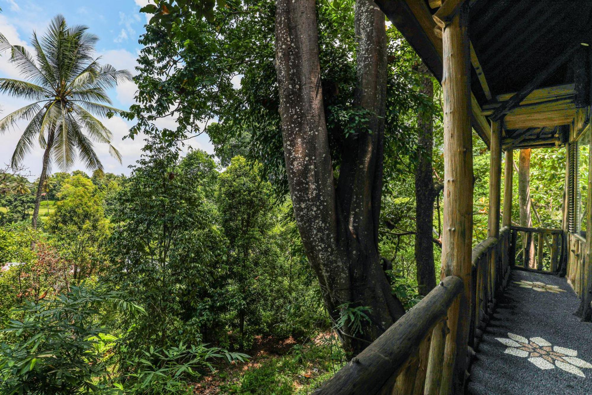Отель Omunity Bali Сингараджа Экстерьер фото