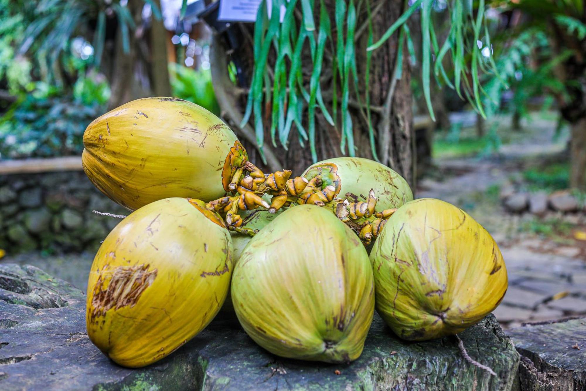 Отель Omunity Bali Сингараджа Экстерьер фото